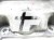 Miska olejowa 2.2 16V 55557090 Opel Vectra C Signum 02-08 sprawna